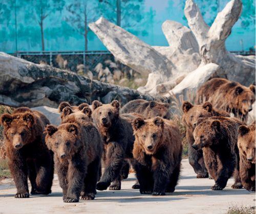 海南动物园爆料案件最新  第3张