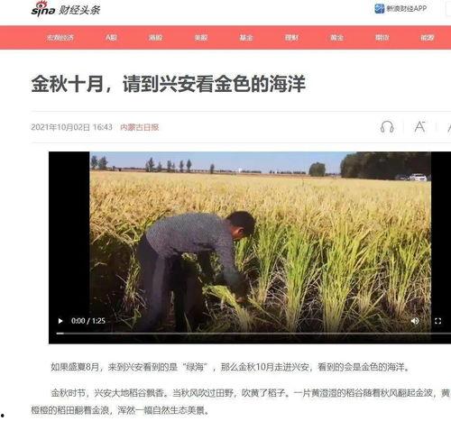 扎赉特旗媒体新闻爆料,重大新闻事件引发社会关注