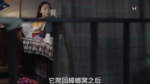 孩子爆料亲爹的秘密视频,孩子意外曝光父亲不为人知的秘密视频